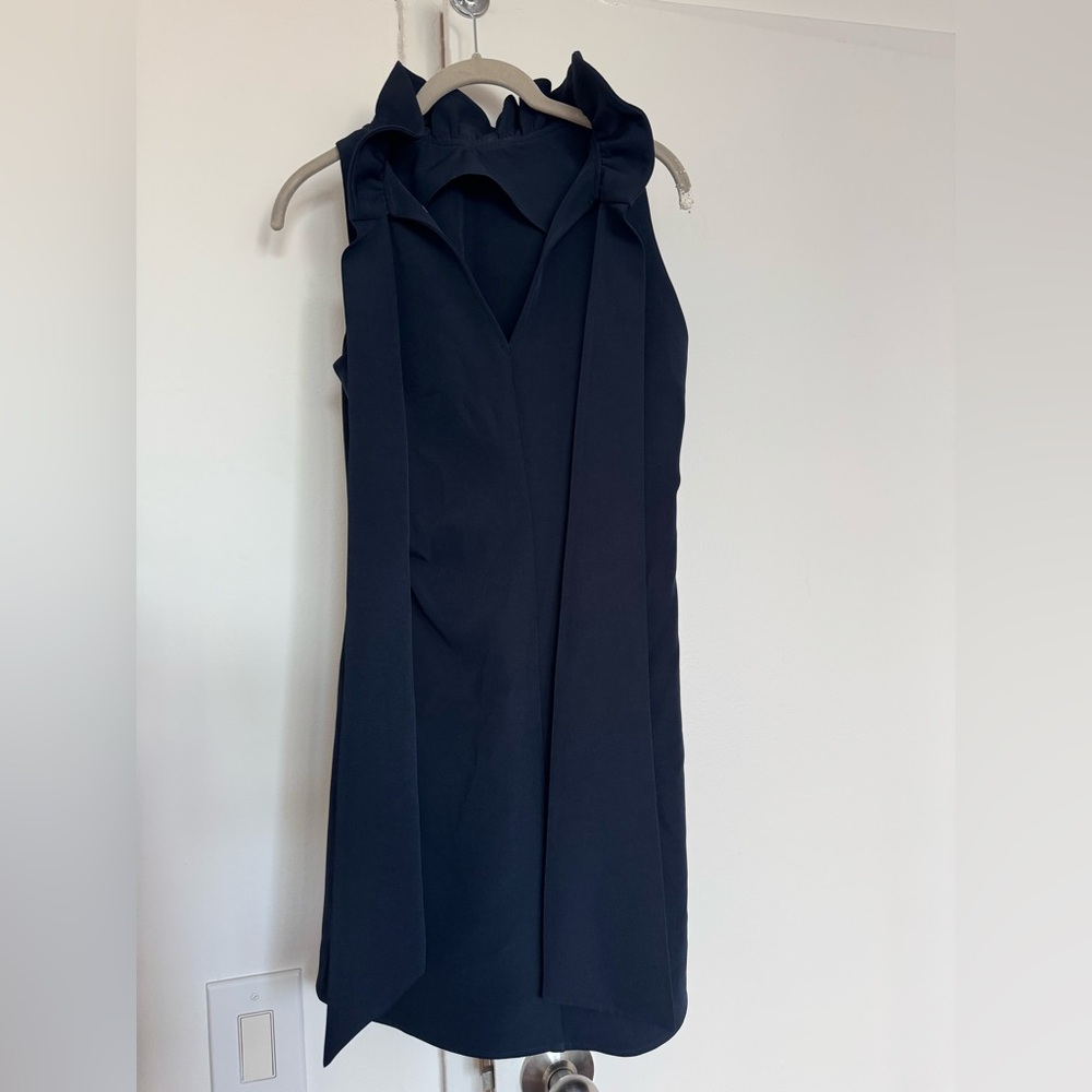 Tuckernuck Dress - Picture 3 of 4